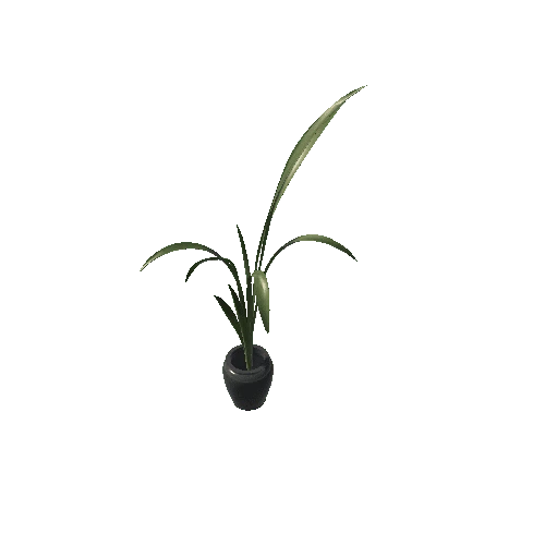 Plant 2